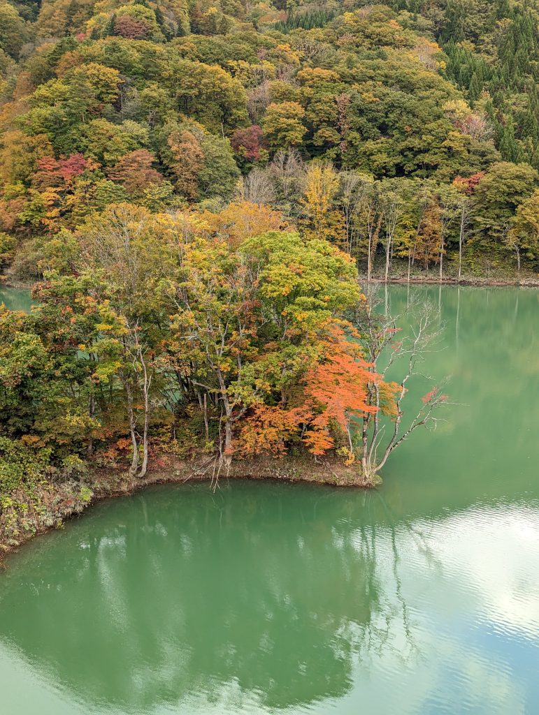 青森の紅葉０４