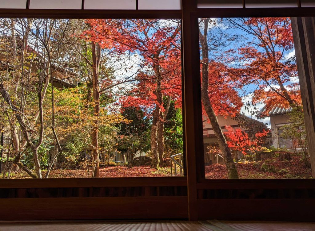 お庭の紅葉