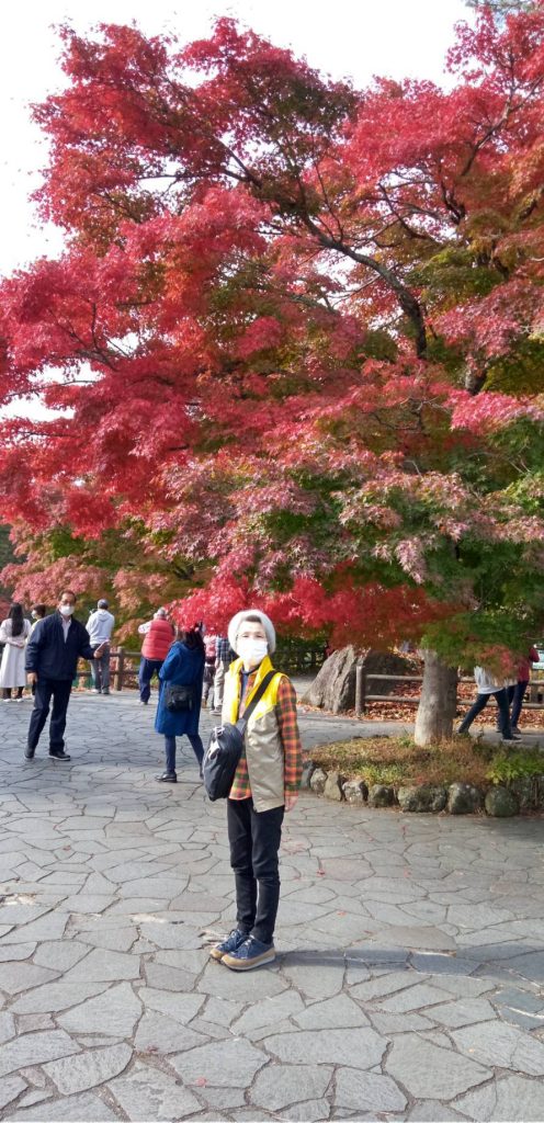 紅葉と金ポコ