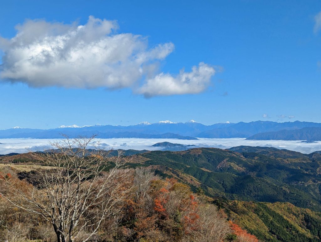 スカイテラスからの眺望