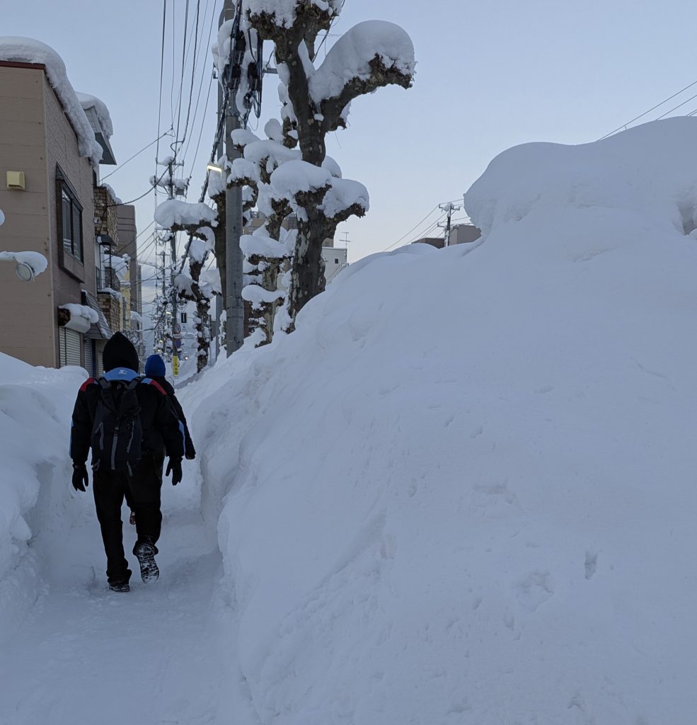 青森市内の雪