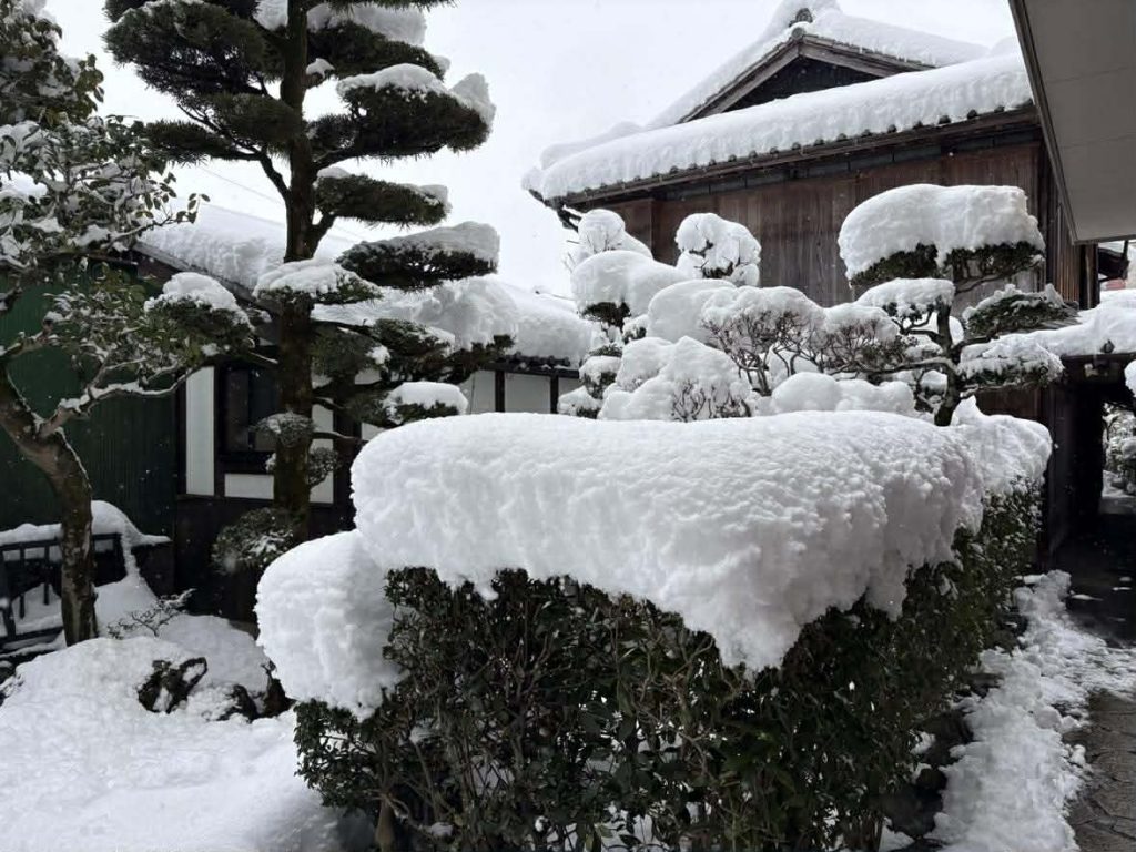 降り積もる雪