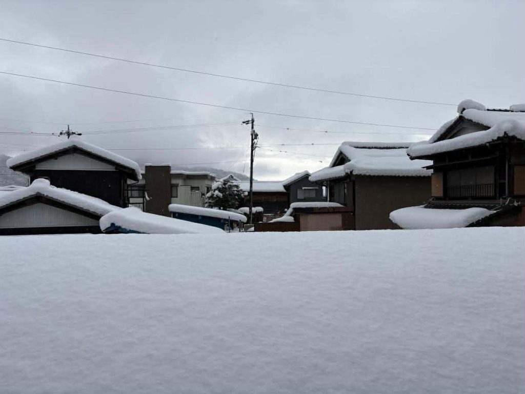 大雪だぁ